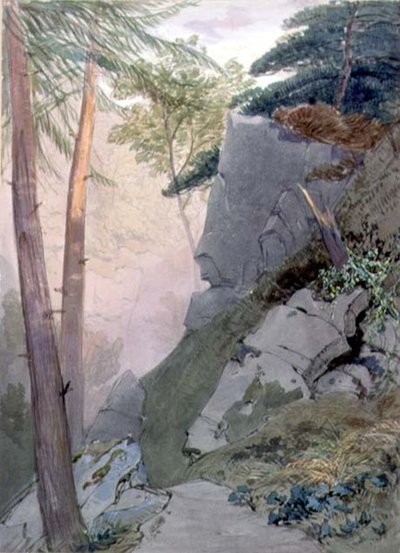 The Ravine by William Roxby Beverly